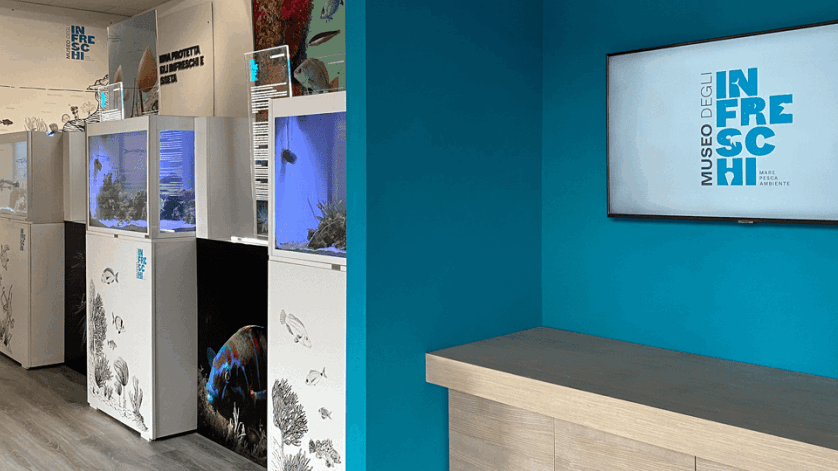 Museo degli Infreschi